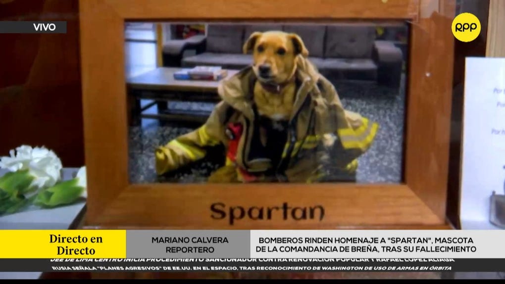 Spartan, mascota de la Compañía de Bomberos Internacional 14 de Breña