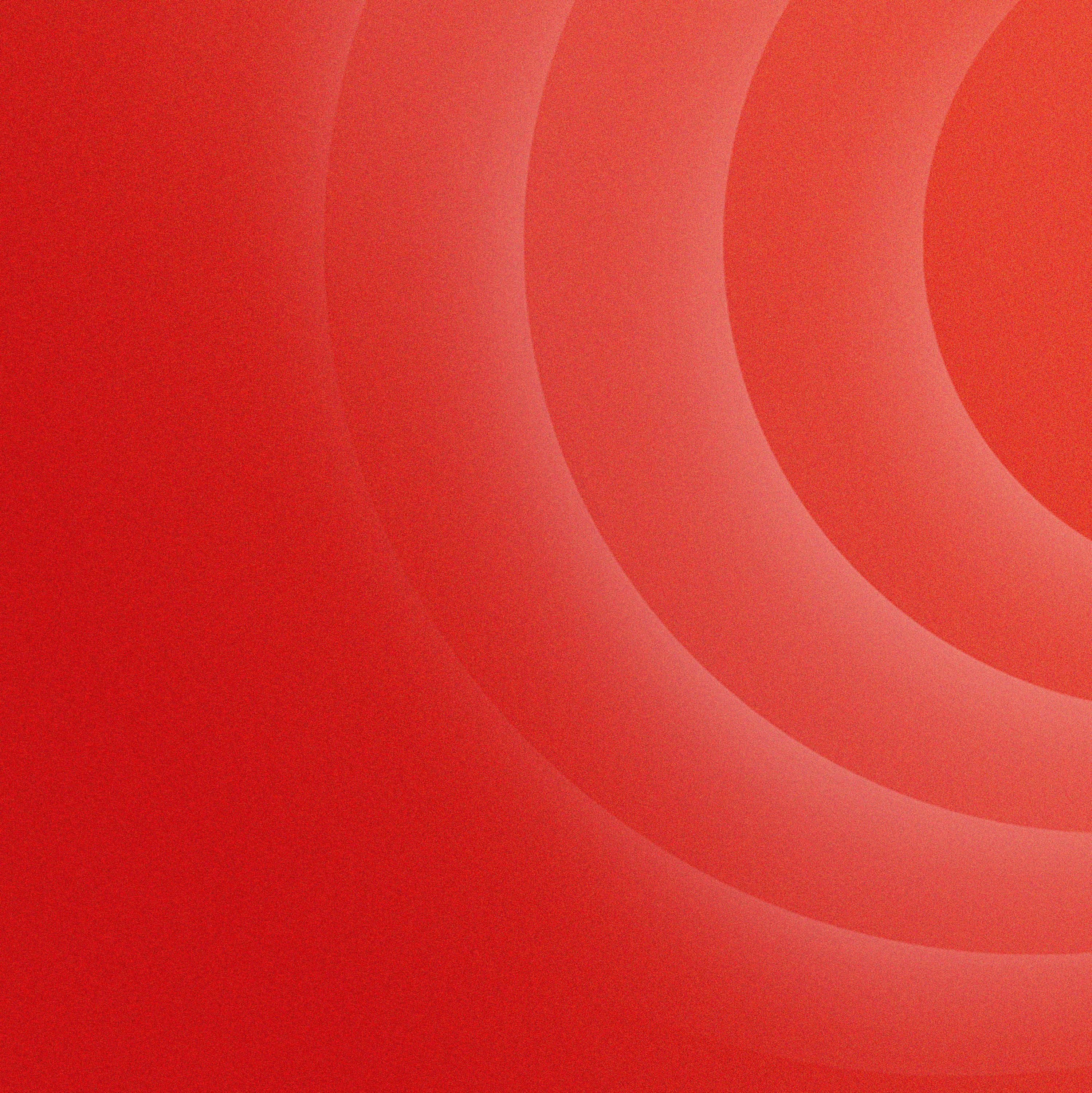 El senador republicano Bill Cassidy durante una sesión en el Senado de Estados Unidos